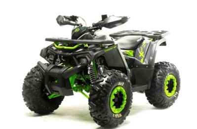 Квадроцикл MOTOLAND 125 Wild (2021 Г.) в Москве