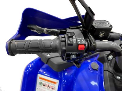 купить Квадроцикл MOTAX Grizlik 200 ULTRA BIG в Москве - фото 