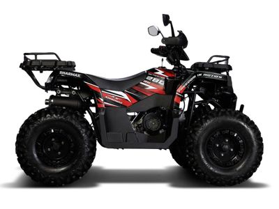 купить Квадроцикл SHARMAX 280 RX Activator в Москве - фото 