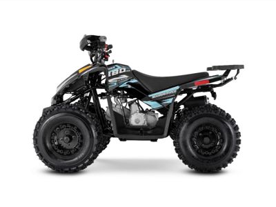 купить Квадроцикл SHARMAX Cross 180 RX в Москве - фото 