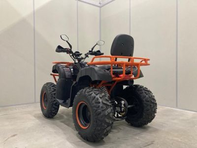 купить Квадроцикл ГЛАДИАТОР H200 Б/У в Москве - фото 