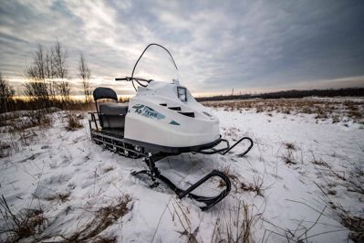 купить Снегоход БТС Артик-4Т Лонг в Москве - фото 