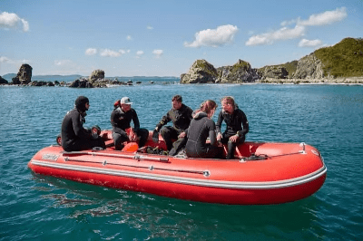 Лодка ПВХ COMPAS 500 в Москве