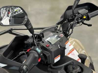 купить Квадроцикл LINHAI YAMAHA P300 PROMAX EFI 4х4 в Москве - фото 