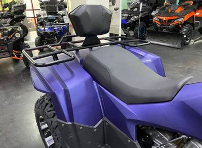 купить Квадроцикл IRIDE Wolf 300 в Москве - фото 