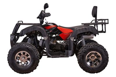 купить Квадроцикл YACOTA Sela 200 Pro в Москве - фото 