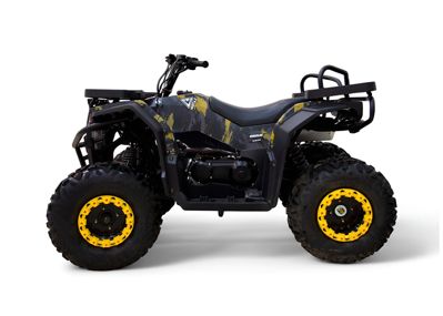 купить Квадроцикл MOTAX Grizlik W200 в Москве - фото 