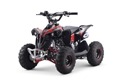 Квадроцикл YACOTA Renegade Mini в Москве