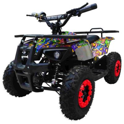 Электроквадроцикл MOTAX GRIZLIK X16 NEW E1000 BW в Москве