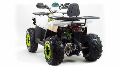 купить Квадроцикл MOTOLAND 200 Wild Track Lux ( Баланс. вал) (2021 Г.) в Москве - фото 