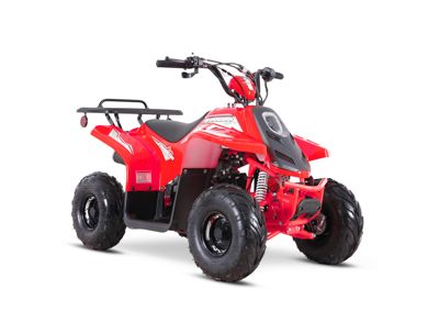 купить Квадроцикл SHARMAX 130 Cross в Москве - фото 