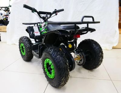 купить Электроквадроцикл MOTAX Grizlik X16 New E1000 в Москве - фото 