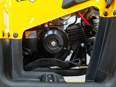 купить Квадроцикл SHARMAX 130 Cross в Москве - фото 