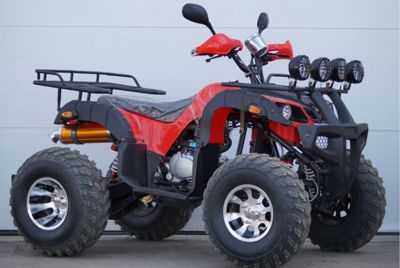 купить Квадроцикл STALKER 250 Lux в Москве - фото 