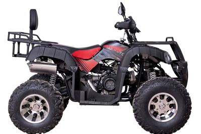 купить Квадроцикл YACOTA Sela 200 Pro в Москве - фото 