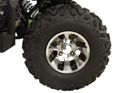 купить Квадроцикл GRIZZLY 200 Premium в Москве - фото 