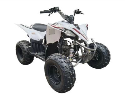 купить Квадроцикл MIKILON Rapide 120 EFI в Москве - фото 