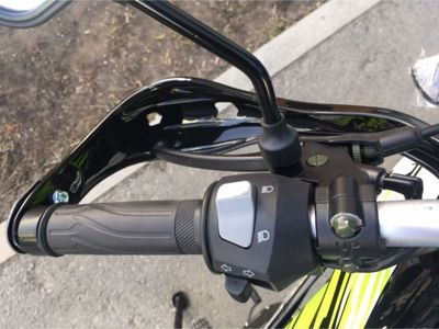 купить Мотоцикл кроссовый эндуро RACER Panther RC300-GY8X в Москве - фото 