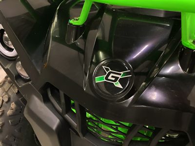 купить Квадроцикл ГЛАДИАТОР F200 Lux в Москве - фото 