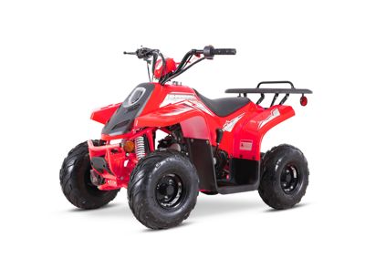 купить Квадроцикл SHARMAX 130 Cross в Москве - фото 