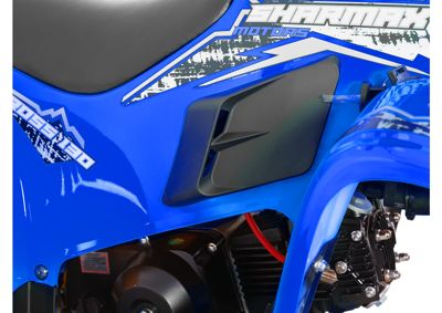 купить Квадроцикл SHARMAX 130 Cross в Москве - фото 