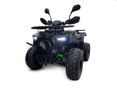купить Квадроцикл MOTAX ATV Grizlik Super Lux 125cc в Москве - фото 
