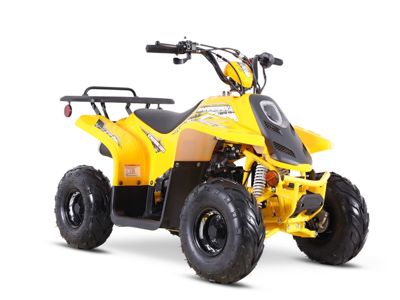 купить Квадроцикл SHARMAX 130 Cross в Москве - фото 