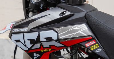 купить Мотоцикл RACER MX125E PITBIKE в Москве - фото 