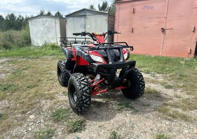 купить Квадроцикл RAPTOR Madman 200 All в Москве - фото 