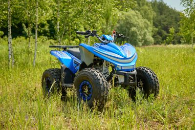 купить Квадроцикл SHARMAX Cross 180 RX в Москве - фото 