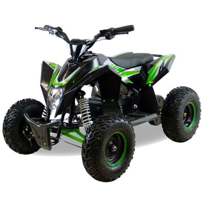 купить Электроквадроцикл MOTAX GEKKON 1300W в Москве - фото 