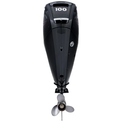 купить 4х-тактный лодочный мотор MERCURY F 100 ELPT EFI в Москве - фото 