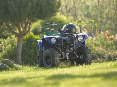 купить Квадроцикл GRIZZLY 125 в Москве - фото 