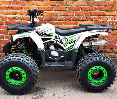 купить Квадроцикл MOWGLI Hardy 8+ в Москве - фото 