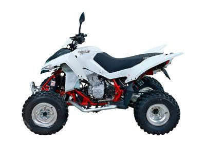 купить Квадроцикл SYM QuadRaider 450 в Москве - фото 