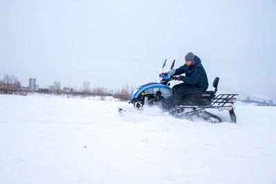 купить Снегоход SHARMAX SN-210 Forester Classic в Москве - фото 