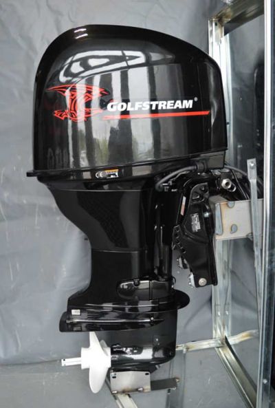 купить 4х-тактный лодочный мотор GOLFSTREAM F60FEL-T EFI в Москве - фото 