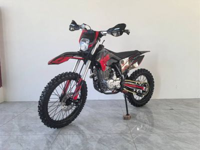 купить Мотоцикл PITONMOTO MX3 PR300 21/18 ENDURO в Москве - фото 