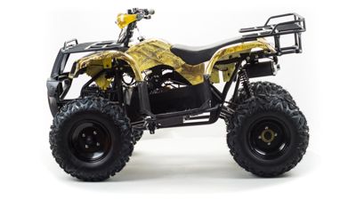 купить Квадроцикл MOTOLAND 150 Maverick в Москве - фото 