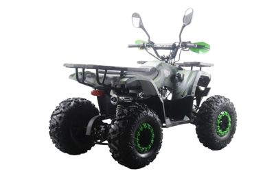 купить Квадроцикл MOTAX ATV Grizlik Premium 125cc в Москве - фото 