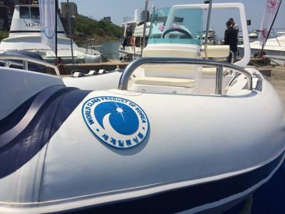 купить Лодка РИБ STORMLINE RIVER DRIVE EXTRA 500 в Москве - фото 