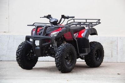 купить Квадроцикл UNIVERSAL Avenger JR 150 в Москве - фото 