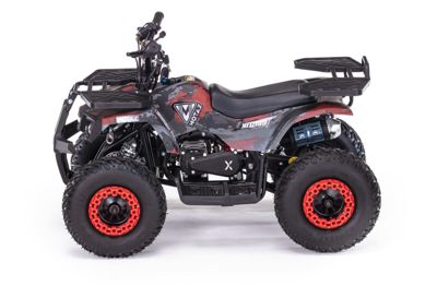 купить Квадроцикл MOTAX Grizlik X16 (PS) в Москве - фото 
