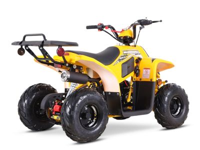 купить Квадроцикл SHARMAX 130 Cross в Москве - фото 