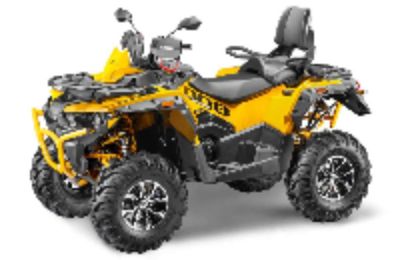 Квадроцикл СТЕЛС ATV 800 Guepard Trophy EPS CVTech (ПСМ) в Москве
