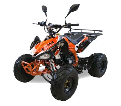купить Квадроцикл MOTAX ATV T-Rex LUX 125 cc в Москве - фото 
