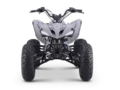 купить Квадроцикл SHARMAX Raizer Race Cup 250 в Москве - фото 