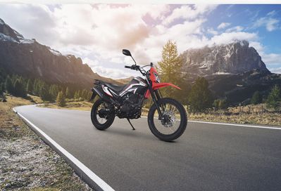 купить Мотоцикл LIFAN LF250GY-4D ТУРЭНДУРО в Москве - фото 