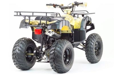 купить Квадроцикл MOTOLAND 250 Adventure (2021 Г.) в Москве - фото 