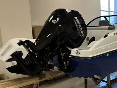 купить 4х-тактный лодочный мотор MERCURY F 100 ELPT EFI Б/У в Москве - фото 